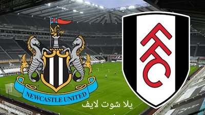 موعد مباراة نيوكاسل يونايتد أمام برينتفورد في الدوري الإنجليزي